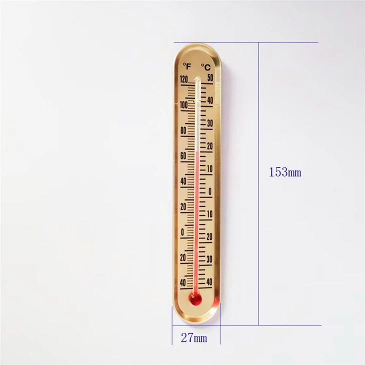 Double Scale ℃/℉ Wall Thermometer suppliers