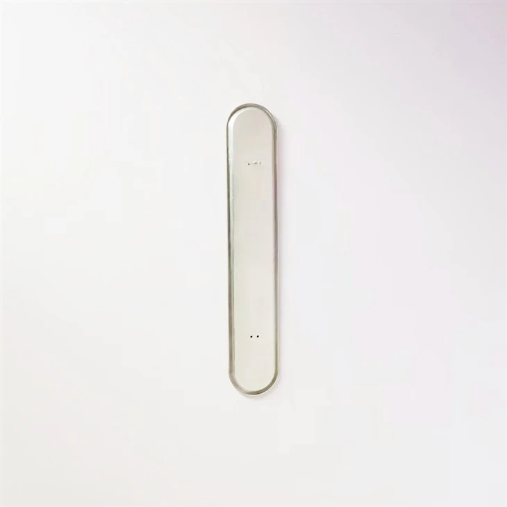 Double Scale ℃/℉ Wall Thermometer suppliers
