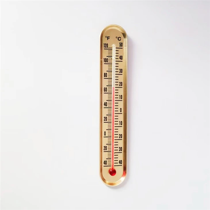 Double Scale ℃/℉ Wall Thermometer
