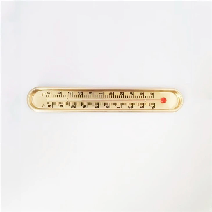 Dual ℃/℉ Wall Thermometer best