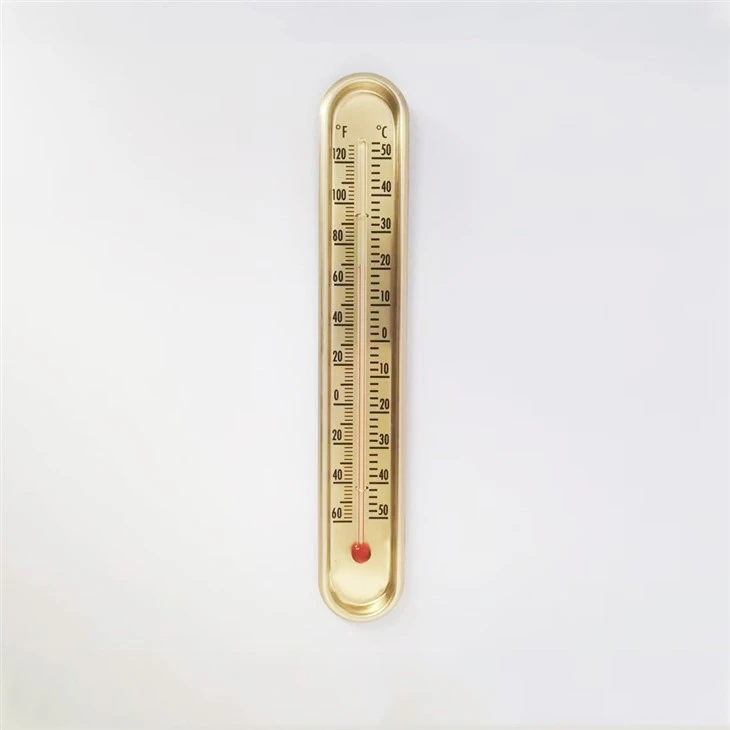 Dual ℃/℉ Wall Thermometer
