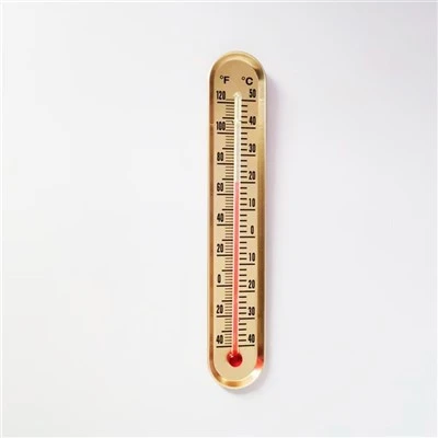 Double Scale ℃/℉ Wall Thermometer