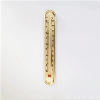 Dual ℃/℉ Wall Thermometer